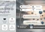 be your digital expert for design video web and monetization